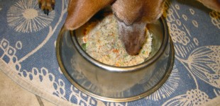 another homemade dog food recipe 