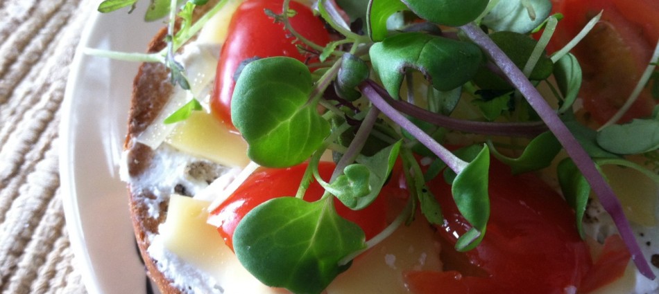 rosemary olive bagel with farm fresh goat cheese, guyere, tomato and spicy miro greens