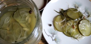 new addiction: homemade pickles